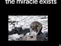 the miracle exists ,human