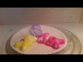 Round 3- Peep Jousting #braggingrights