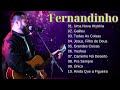 FERNANDINHO  AS MELHORES FERNANDINHO + FELIPO CARVALHO OFICIAL  #music #gospel #worship #hinos