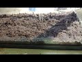 Starting aquariums with dirt!(2)