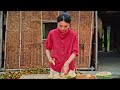 Harvesting Melon-Ichiba Goes to the market - Countryside Cooking