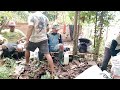 @majidchannel467 Ngecek lahan baru ke dalam hutan 🌲 bersama 👭👬 teman