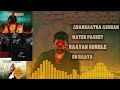 RAAYAN  Movie Songs | Dhanush | AR Rahman | Sun Pictures | KALATUNES