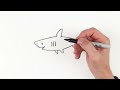 How to Draw a Shark Easy Step by Step