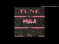 T~M. Tune Mula - Bitch Betta Have My Money Mix (GotDamnit 2.5)