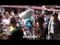 Giant Cotton Candy Flower