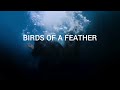 BIRDS OF A FEATHER - Billie Eilish | 3D Audio