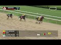 0Ways And Means (USA) - Test Stakes G.  2024