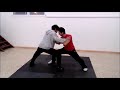 Kung Fu-Posiciones básicas