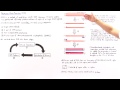 Polymerase Chain Reaction (PCR)