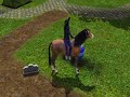 Sims 3 Horse Death