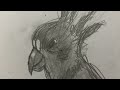 Parrot drawing (easy)