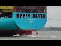 Containership MAERSK HAMBURG departing the Port of Felixstowe 🇬🇧 10/8/24