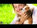 Tranquil Music for Dogs | Perfect for Anxiety Reduction | Anti Separation Anxiety Relief🐶