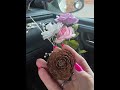 Synchronicity of the roses and the pine cones. Response to a recent video.