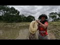 Sinugod na rin ng mga Taiwanese at mga Thai ang Mga Natrap na Sobrang Daming Isda