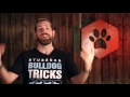 How to Use the 4 Types of Dog Toys RIGHT!