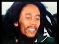 Bob Marley & The Wailers - Live Milano 1980