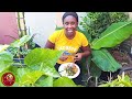 Growing In Extreme Heat And Limited Water Greens Harvest 🥵Small Space Gardening Oasis