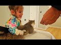 Eva Elif Sinemle buluşurken kedisi Bücür için elbise alıyor - Eğlenceli çocuk video derlemesi