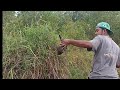WILD DUCK HUNTING | CATCH & COOK |PEST CONTROL