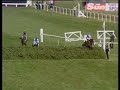 Horse Racing: 1981: Grand National