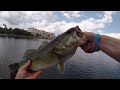 Using LIVE Bluegill Under a Bobber to Catch BASS (Effective!)