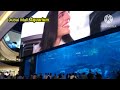 LARGEST AQUARIUM IN DUBAI / DUBAI AQUARIUM / UNDER WATER ZOO @atelornschannel