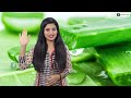 10 Lakhs Income with Low Investment-Aloe Vera Cultivation|Aloe Vera Farming in Kannada| ಅಲೋವೆರಾ ಕೃಷಿ