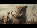 The Lion King 2019 - Simba Memorable Moments