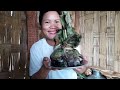 Fermented  Fish Banaya Banana Leaves Mein || Manjita Ka Teeth Thut Gya🤣 || Cooking and Eating ||