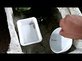 Breeding my Beautiful 'GUPPIES' || Raising my guppies outdoor||