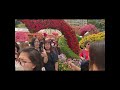 BEAUTIFUL FLOWERS AROUND THE PARK/ATEBEBS TV