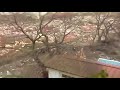 일본 대지진 쓰나미당시에 촬영된 정체불명의 생명체
