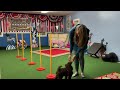 Learn how. 12 week old puppy does weave poles for the second time!