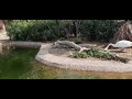 Tour @ Dubai Safari Park Part-2