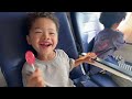 【子連れ飛行機】ハワイに移住しまっす🌺3歳＆5歳の機内の過ごし方｜アメリカ育児