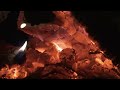 4K ASMR - 늦 가을밤 꺼져가는 장작불과 풀벌레 소리 #Firewood Sounds