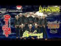 Banda Arkangel R15 , Banda El Recodo, Banda Toro, Los Recodetos , Banda Machos - Los Reyes De Banda