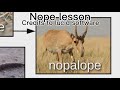 Nope lesson