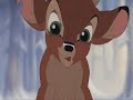 Bambi's (somewhat) funniest moments