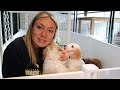 DAY IN THE LIFE OF A DOG BREEDER | PUPPIES NEW AREA, OUTSIDE PLAYTIME & AM I KEEPING A PUPPY