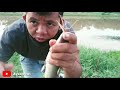 tempat mancing ikan lele tak pernah habis2 ikan nya