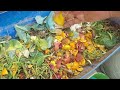 BEST WAY TO USE KITCHEN WASTE FOR VEGETABLES