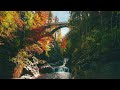 THE MAJESTIC BRIDGE: 4K Video with Authentic Nature Sounds for Relaxation and Sleep