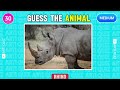 Animal Quiz | GUESS The ANIMAL From EMOJI 🦁🐶🐱 | Quiz Game