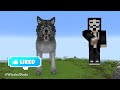 Minecraft REAL LIFE WOLF STATUE HOUSE BUILD CHALLENGE - NOOB vs PRO vs HACKER vs GOD / Dog Animation