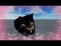 maxwell the cat in a effects #cute #cat #youtubevideo