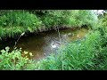 The Silent Trout Fishing Challenge! I went Trout Fishing in Near Total Silence in Wisconsin BIG FISH