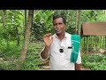 ಕೃಷಿಯಲ್ಲಿ ಚಮತ್ಕಾರ ಮಾಡುವ ಟೆಕ್ನಿಕ್ ಇದೆ | Agriculture in Karnataka | farming Krushi methods in Kannada
